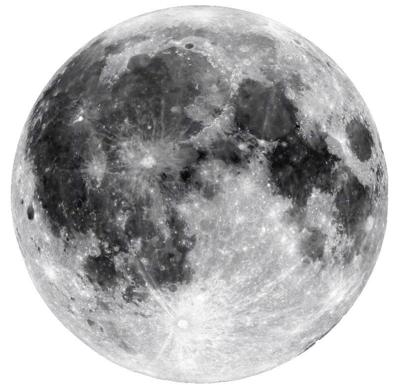 Abortion Is Murder, Kamala Is A&nbsp;Witch